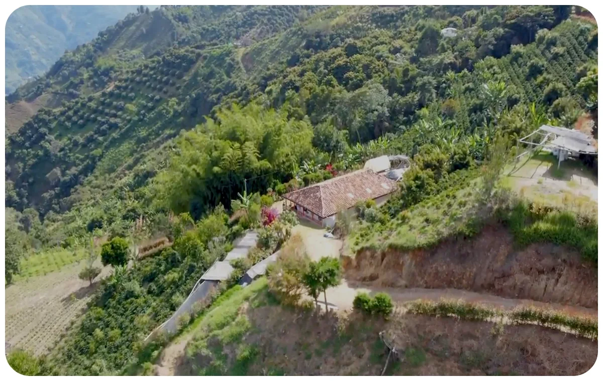 Aerial view of a rural house with terracotta roof nestled on a lush mountainside with terraced farming slopes.